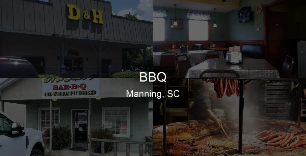 Photo of BBQ in Manning, SC