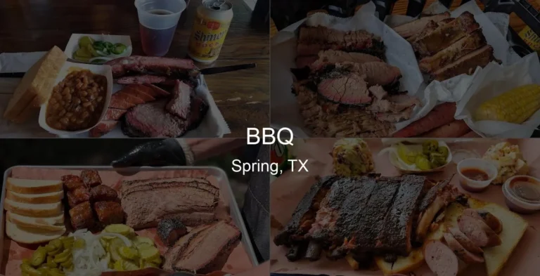 BBQ in Spring, TX Photo