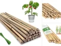 10 Best Bamboo Sticks to Make Your Plants Thrive